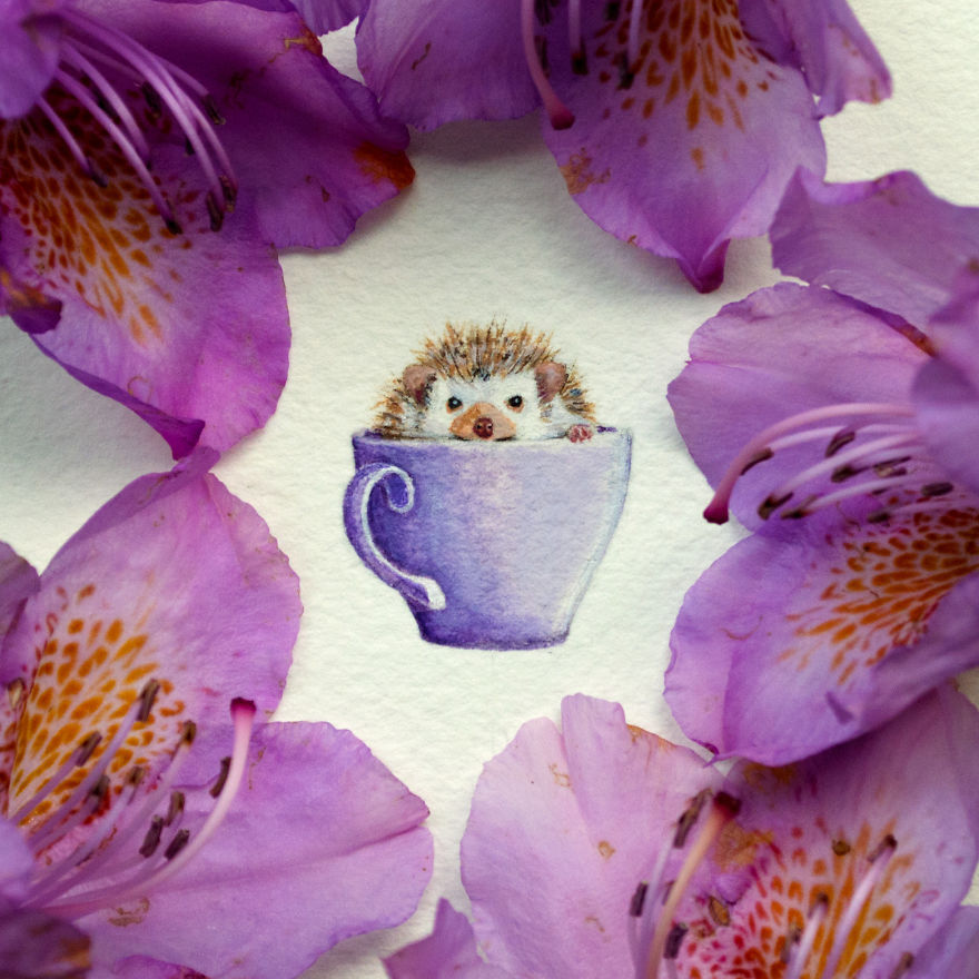 Hedgehog. A Loving Boyfriend's Gift To His Girl