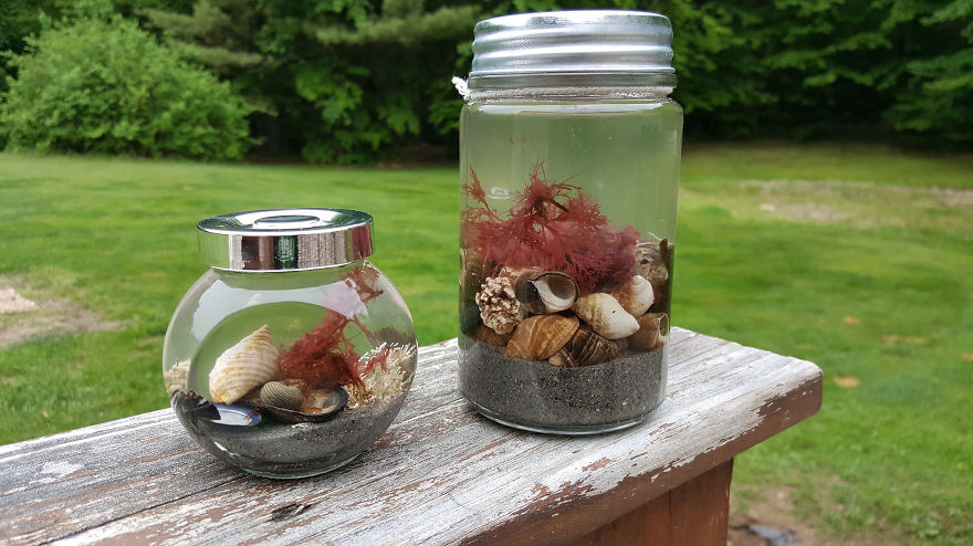 How To Combine Your Love Of Mermaids, Sea Life, And The Ocean All In A Single Jar
