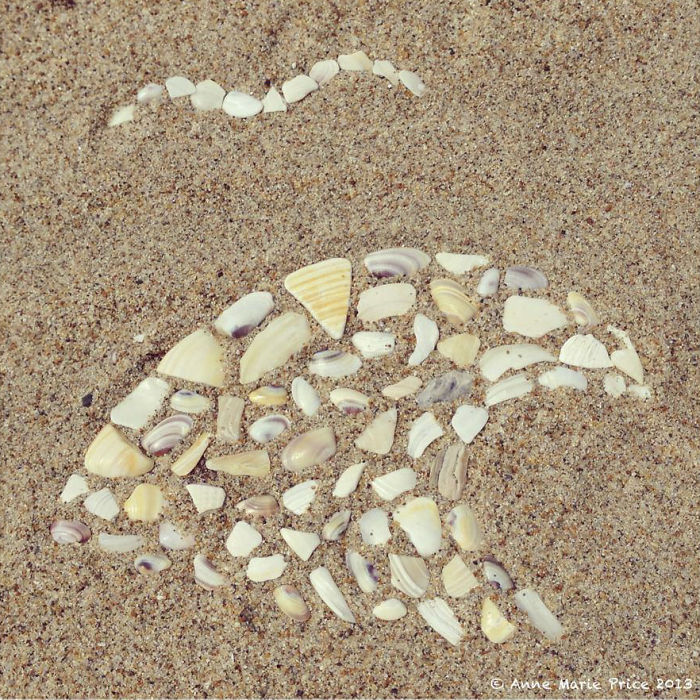 I Create Temporary Beach Mosaics From Things I Find There