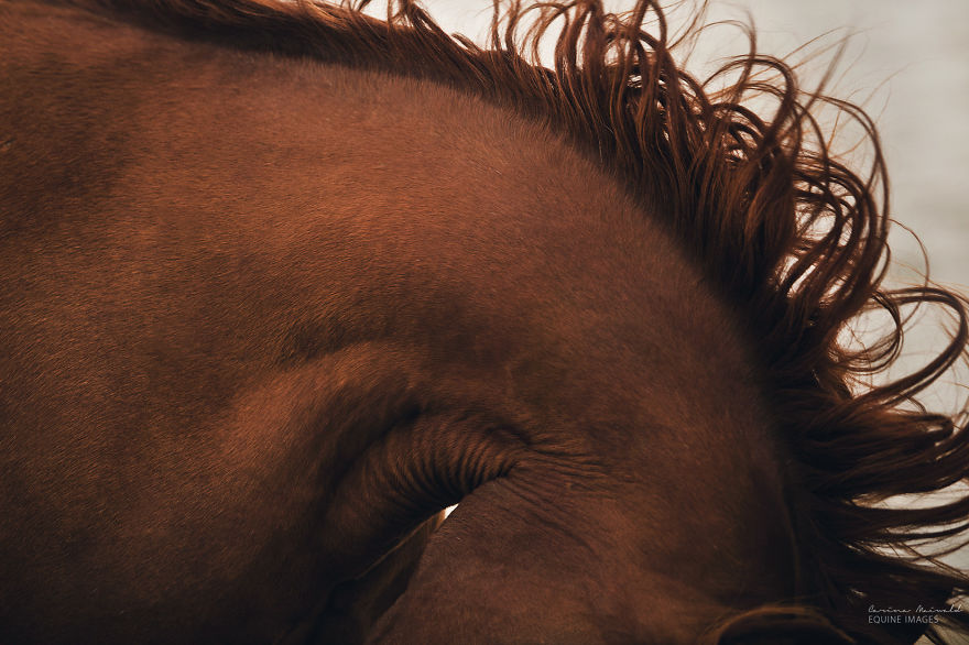 After Losing Myself, I Found Freedom In Horses