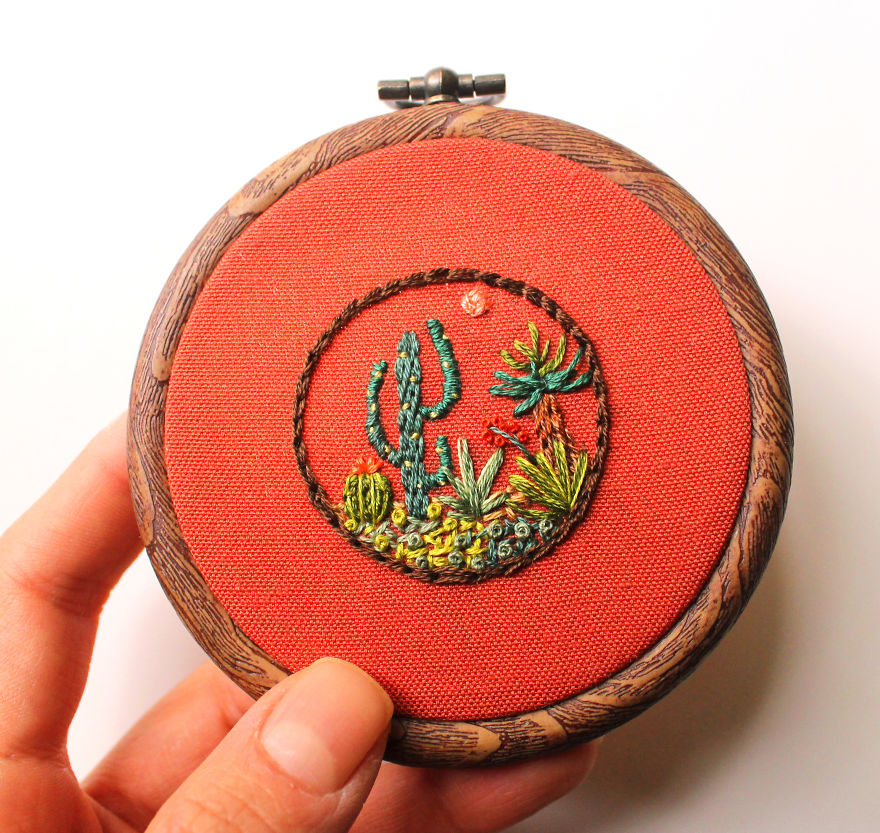 A Miniature Cactusland