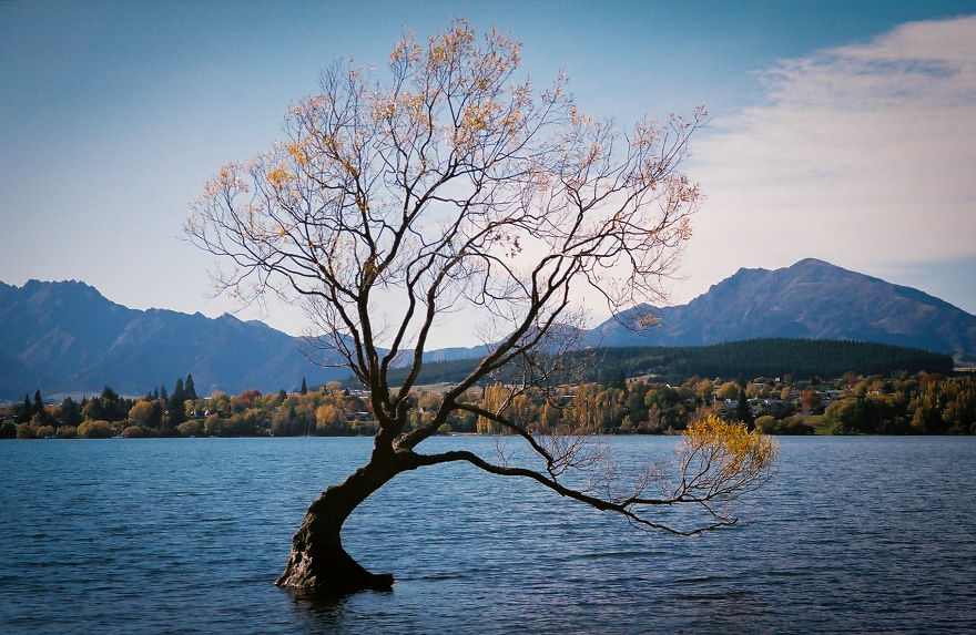 Picturesque New Zealand Through My Film Camera Lens (Part 2)