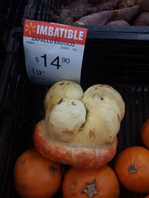 "exotic Pumpkin" @ Walmart