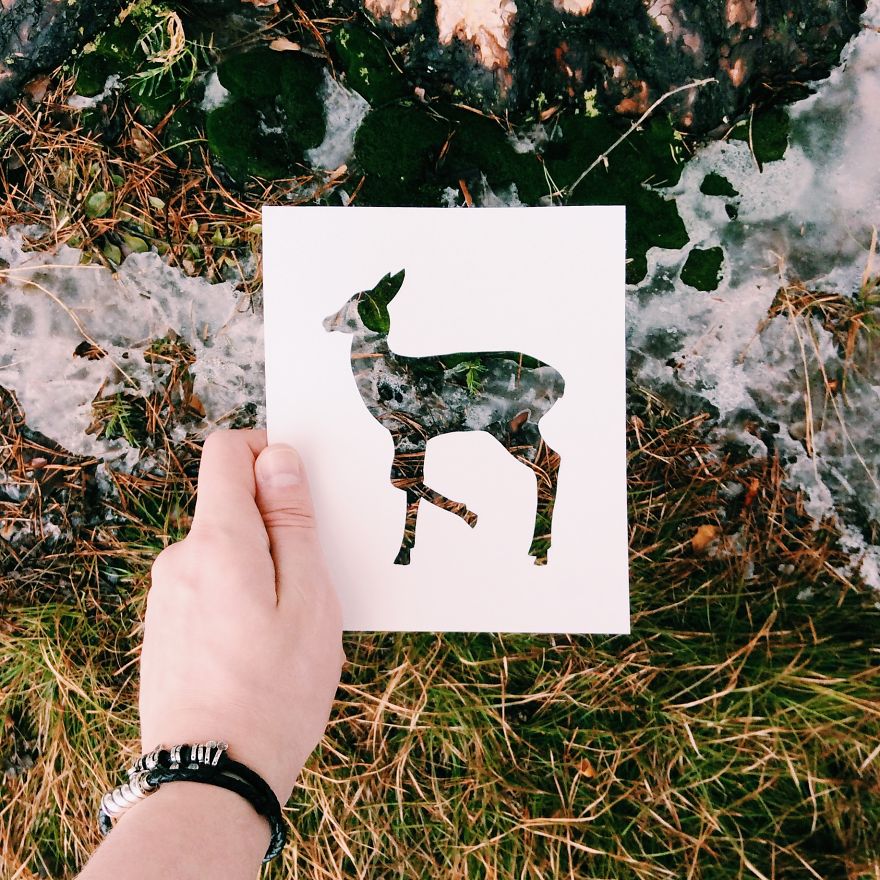I Use Nature To Color Animal Paper Silhouettes (Part 2)