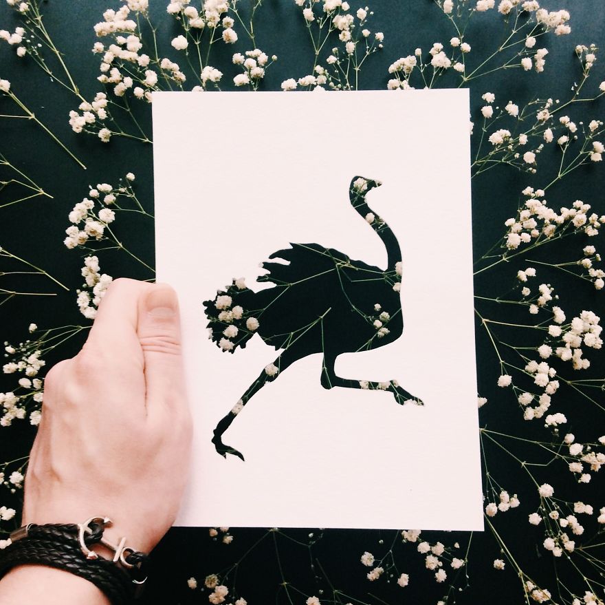 I Use Nature To Color Animal Paper Silhouettes (Part 2)