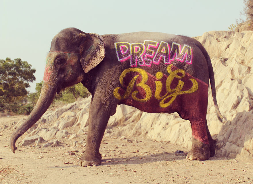 Part Of #IndiaThroughType Project - Type On Elephant