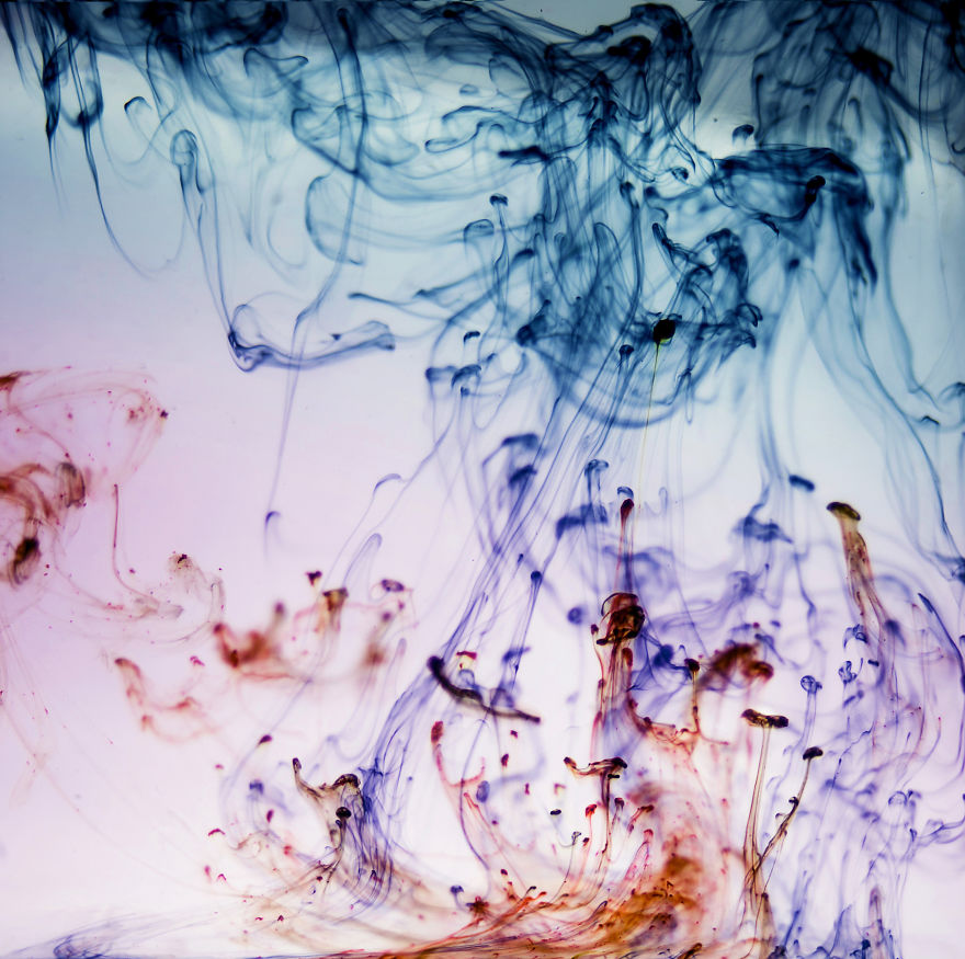 I Created Abstract Photographs In One Water Glass