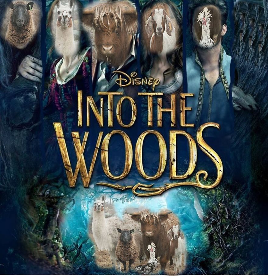 Into The Woods Main Casts