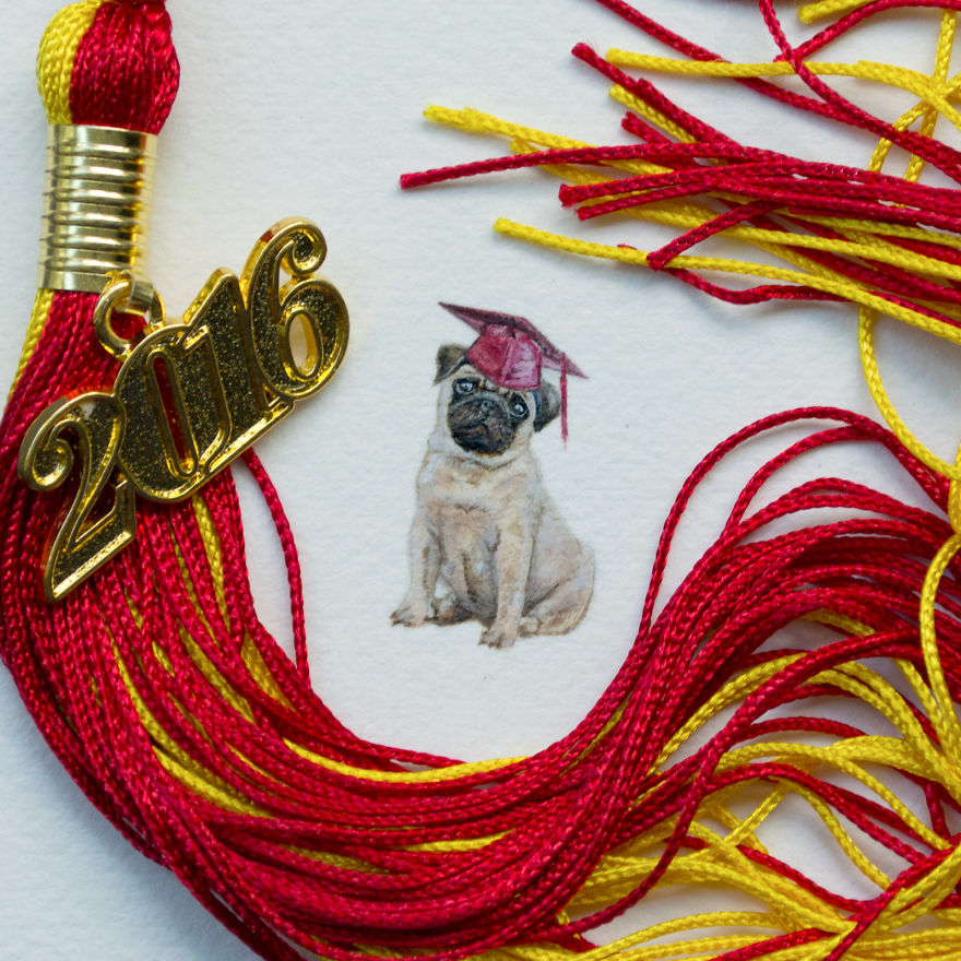 Pug. Created For My Little Brother In Commemoration For All Of His Hard Work. Congratulations To Him And The Class Of 2016!