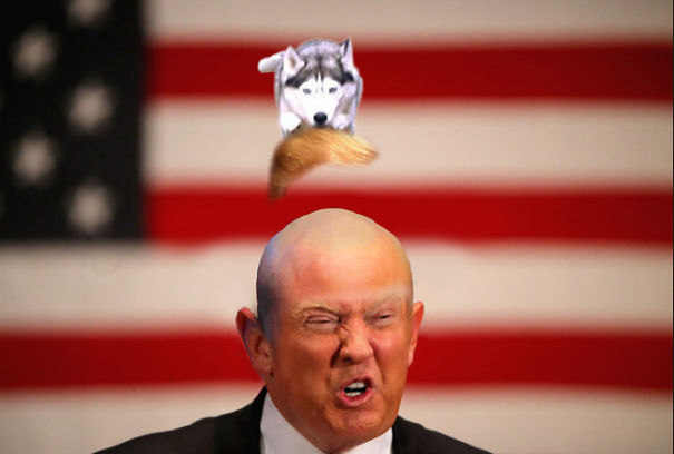 Donald! You Forgot Your Wig!