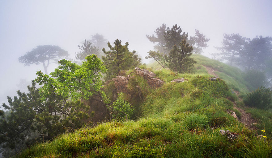 I Hiked To A Local Hill To Photograph A Foggy Morning