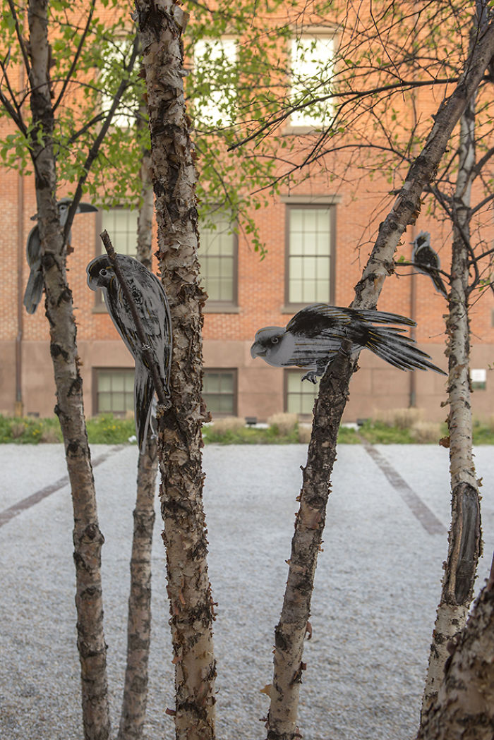 I Created Public Art Project 'Tropical Birds' To Initiate A Conversation Around Climate Change
