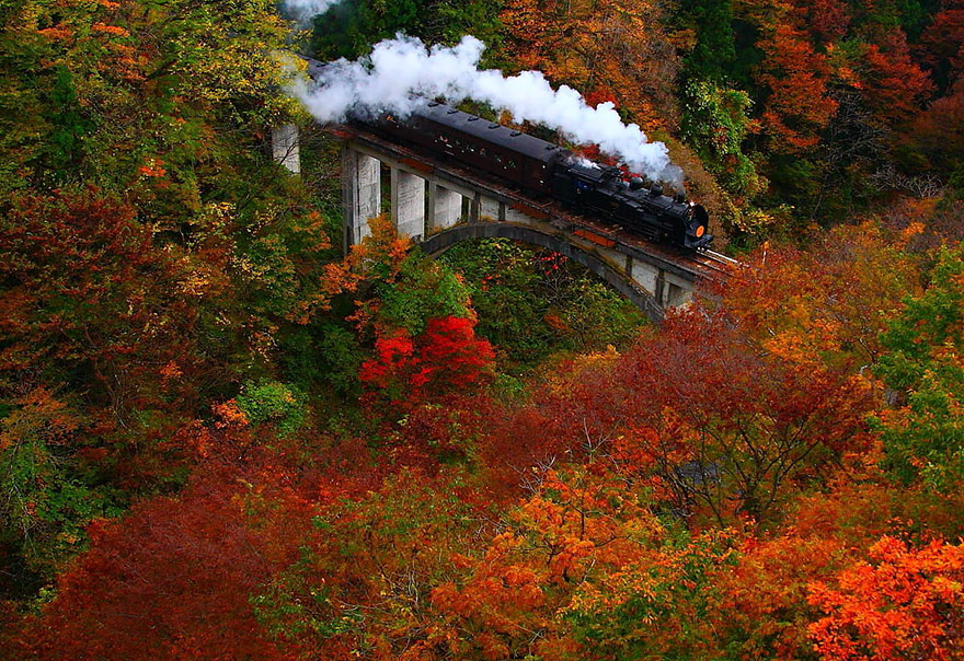 Autumn Color In Fukushima