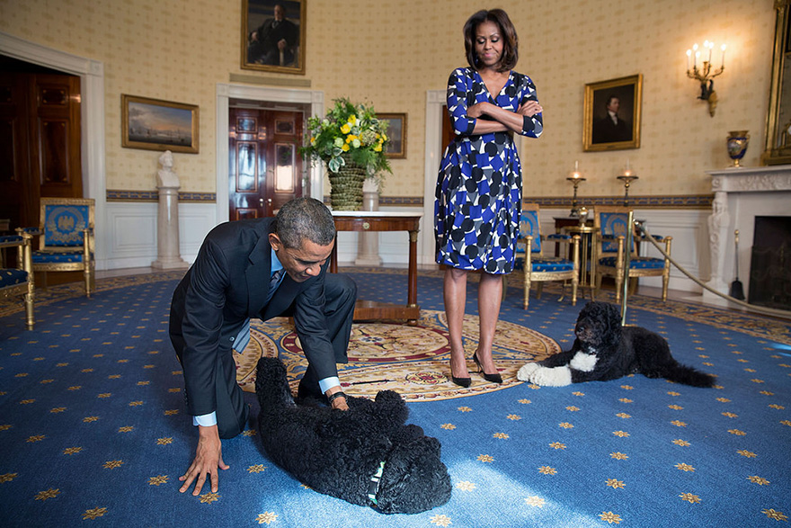 President Obama And First Lady, Joined By Family Pets Sunny And Bo, Wait To Greet Visitors In The Blue Room During A White House Tour