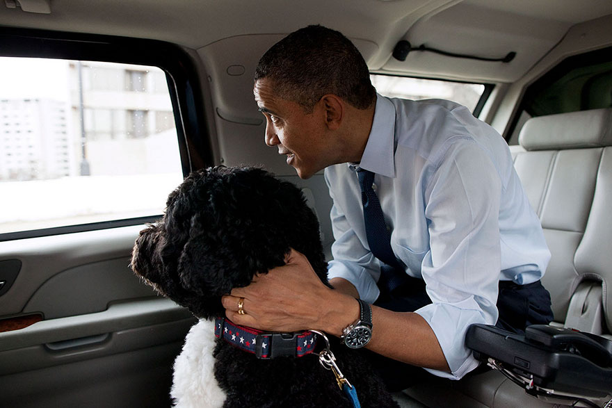 The President And Bo, The Obama Family Dog, Ride In The Presidential Motorcade En Route To PetSmart In Alexandria