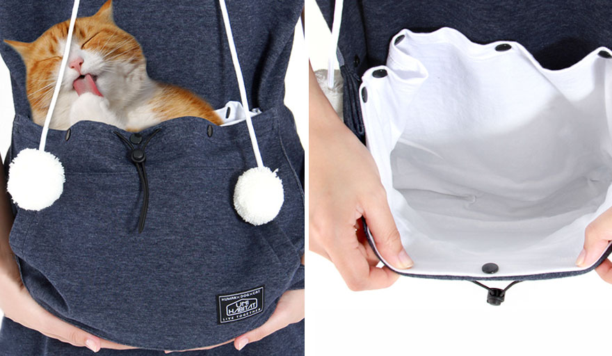 Cat Hoodie With Kangaroo Pouch Lets You Take Your Cat Wherever You Go (Summer Edition)