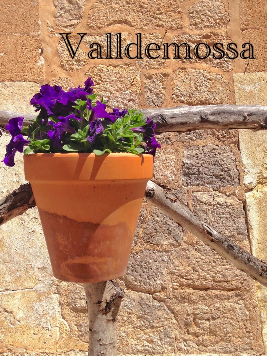 Pictures While Trekking In Mallorca