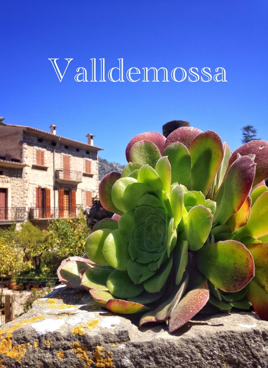 Pictures While Trekking In Mallorca