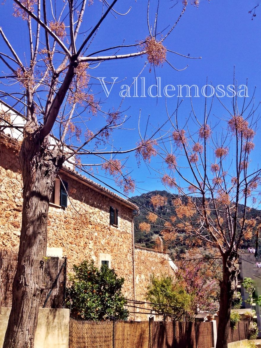 Pictures While Trekking In Mallorca