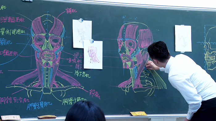 chinese-teacher-anatomical-chalkboard-drawings-16