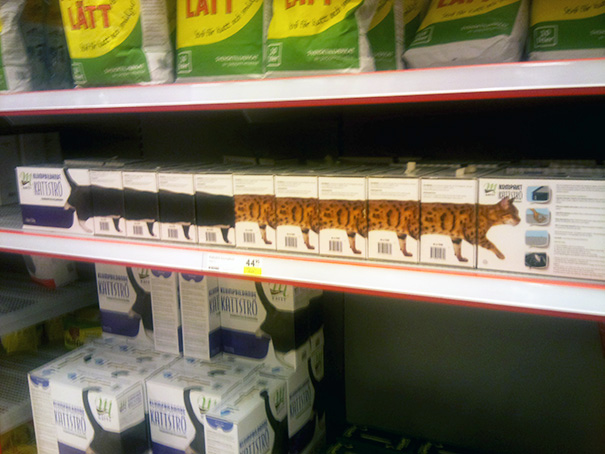 Found A Longcat At A Swedish Grocery Store