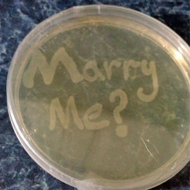 This Is How My Scientist Brother Proposed To His Girlfriend
