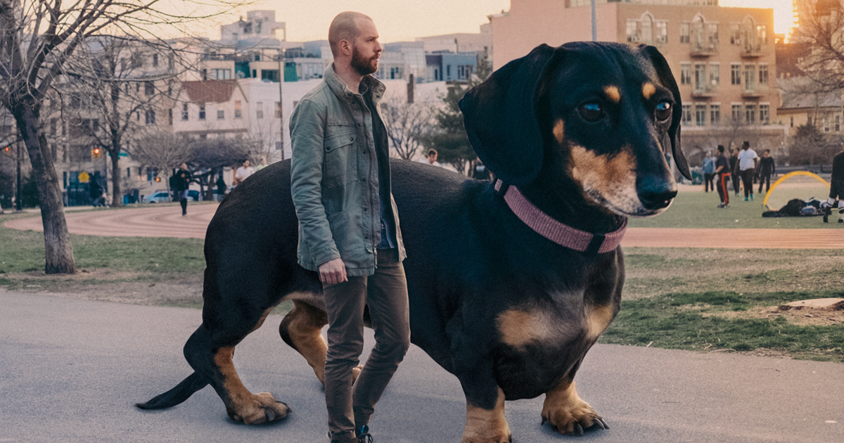 dachshund-wiener-dog-photoshopped-into-giant-vivian-mitch-boyer-fb.png