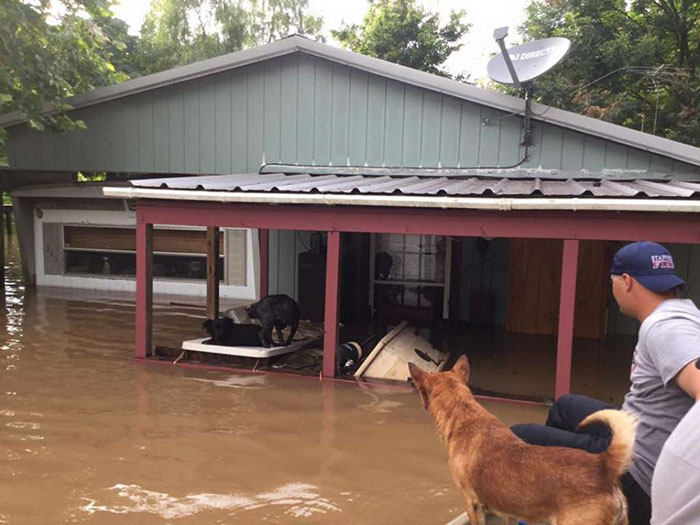 dad-son-save-dogs-flood-texas-10