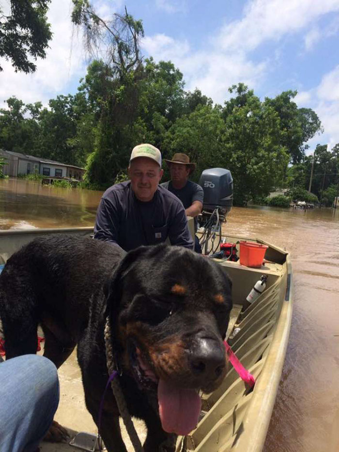 dad-son-save-dogs-flood-texas-21