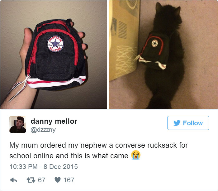 My Mum Ordered My Nephew A Converse Rucksack For School Online And This Is What Came