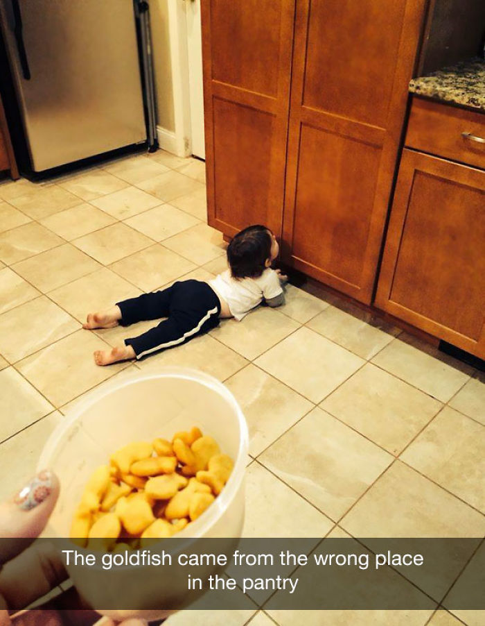 The goldfish came from the wrong place in the pantry
