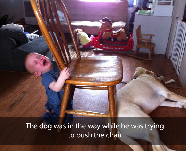 The dog was in the way while he was trying to push the chair