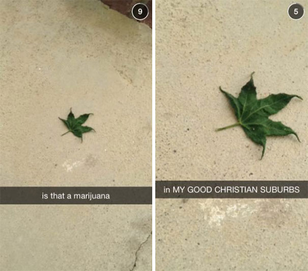 Is That A Marijuana In My Good Christian Suburbs