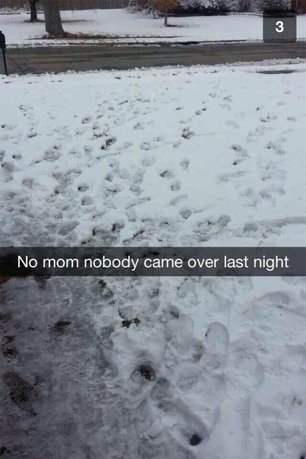 No Mom Nobody Came Over Last Night