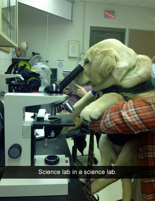 Science Lab In A Science Lab