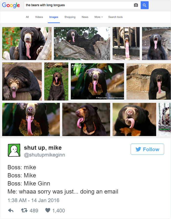 Funny Tweets About Work