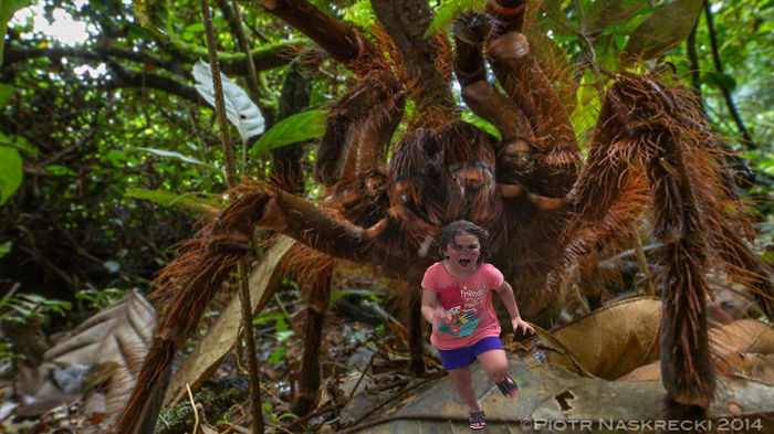 Girl Running From Spider