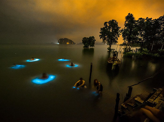 Halo Effect: Bioluminescent Phytoplankton Surround Swimmers in Circles Of Blue Light
