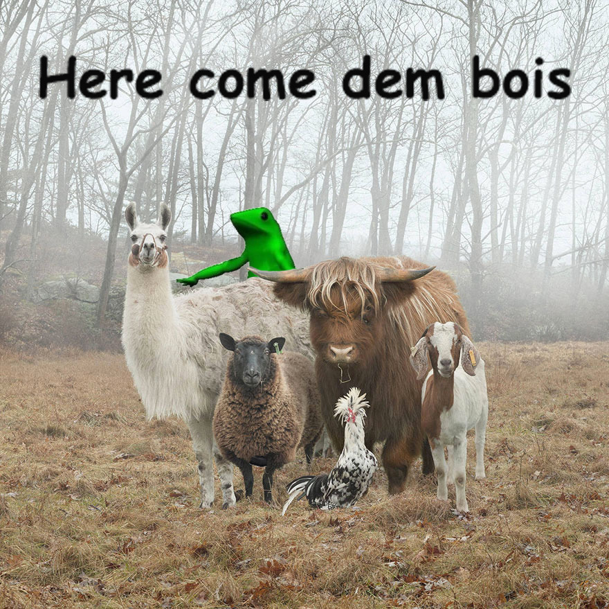 Here Come Dem Bois.