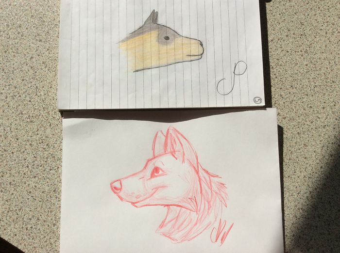 Canine Head (sketch) 12 Year Old - 15 Year Old