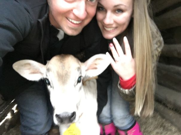 My Husband Proposed With His Three Day Old Calf, Skye.