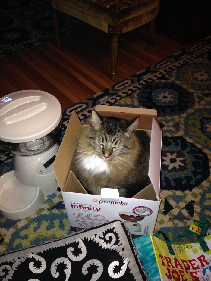 Kirk Likes The New Auto Feeder. He Likes The Box Even Better