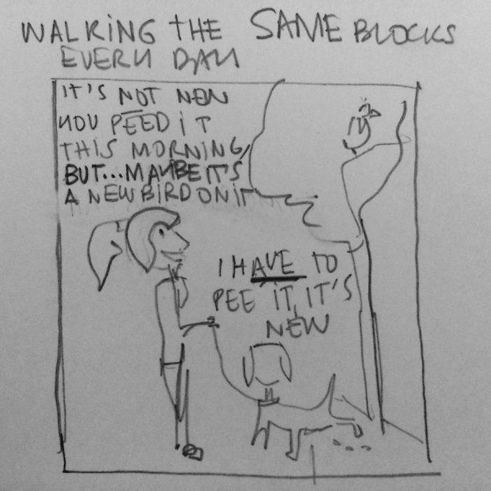 Having A Dog Connects You With Simple Happy Every Day Activities