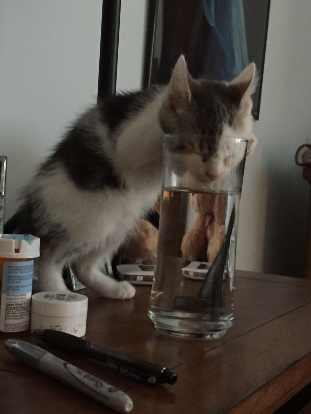Water Sipper