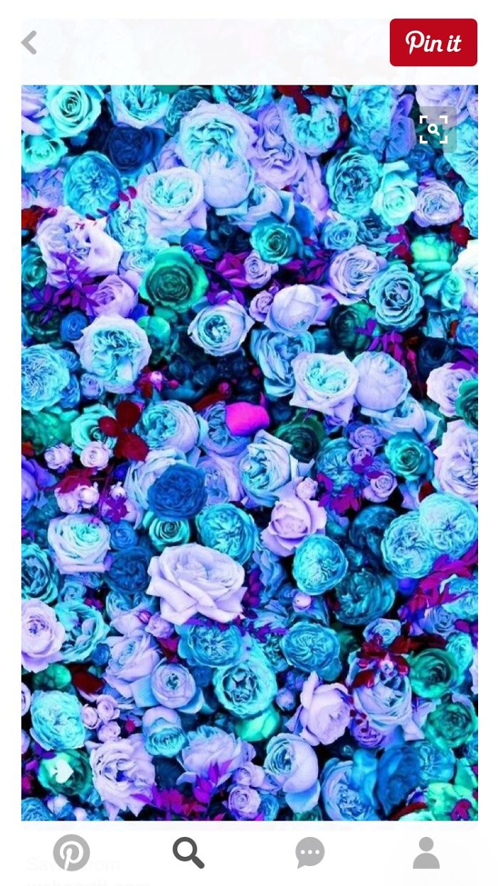Cute Iphone Screen Savers