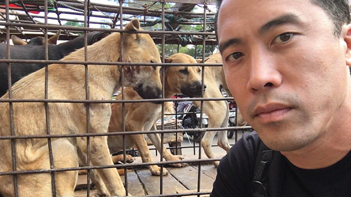 man-saves-1000-dogs-meat-festival-yulin-marc-ching-china-5