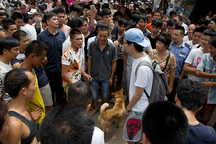 man-saves-1000-dogs-meat-festival-yulin-marc-ching-china-8