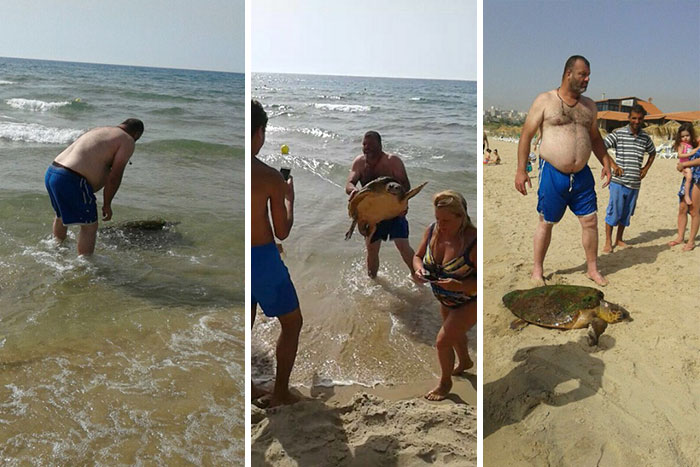 This Turtle Was Dragged From The Sea For Selfies Until These People Rescued Him