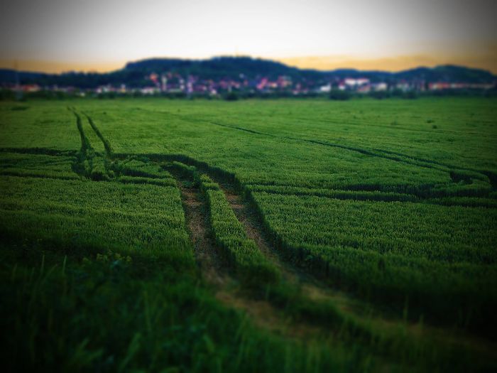 Crop Tracks