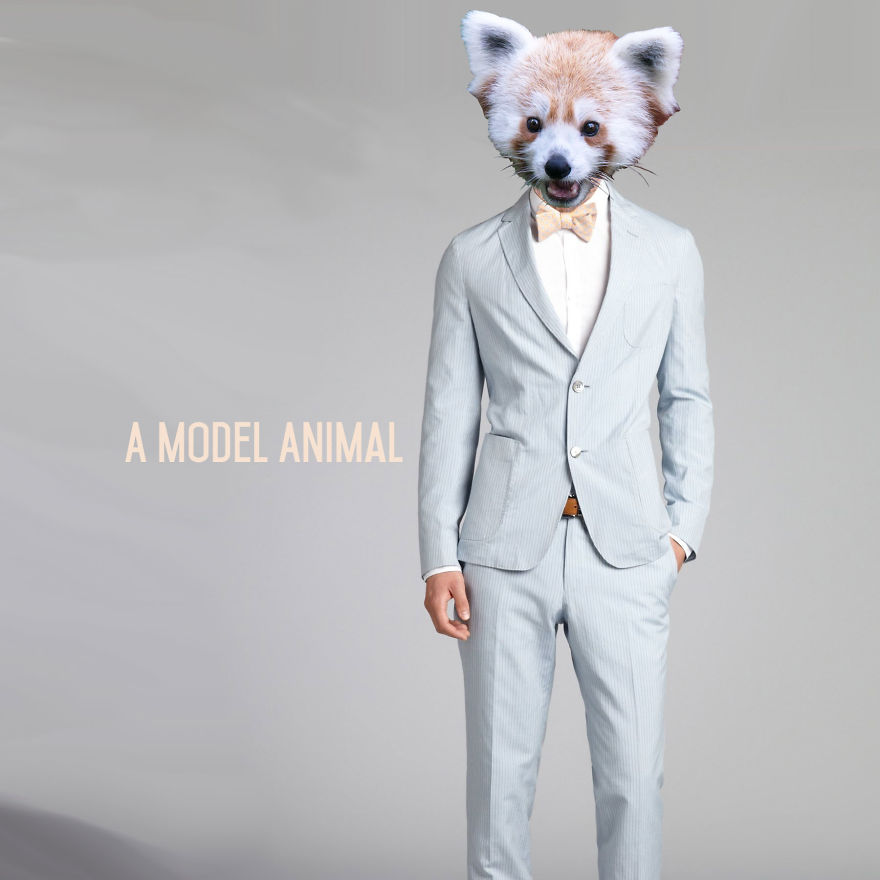 I Spend Hours Imagining Model Animals